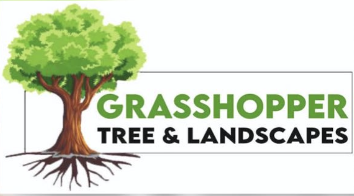Grasshopper Landscaping & Tree Surgeons