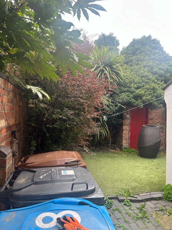 image1